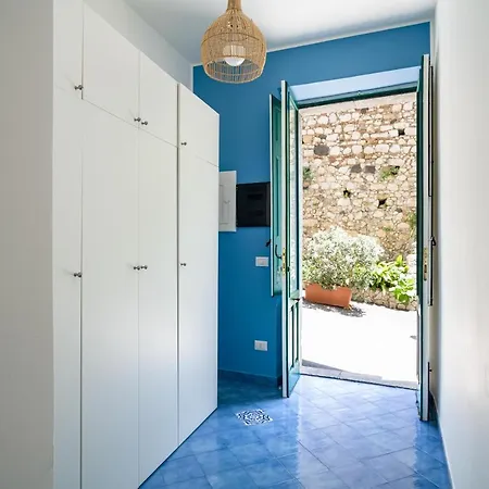 Blue Carlotta