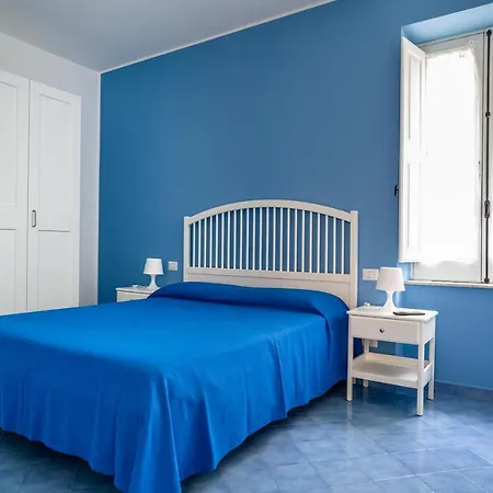 Blue Carlotta