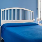 Blue Carlotta *